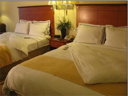 נורת' צ'רלסטון Charleston Airport Hotel חדר תמונה
